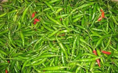 মরিচের কেজি ফের ৪০০ টাকা, কোথাও ৬০০